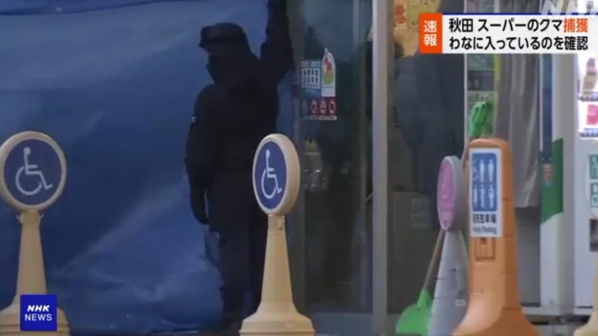 秋田警方終於抓到闖入超市的熊。(圖/翻攝自NHK)