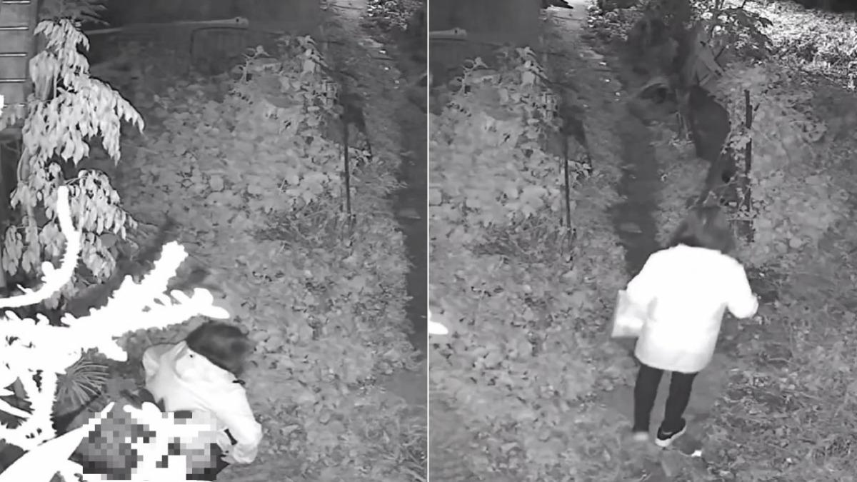 這畫面有味道!陌生女闖庭院「脫褲解放」 屋主踩到糞便險摔