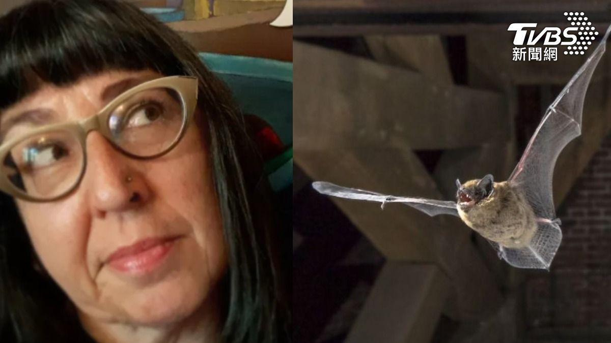 行動病毒庫！美國教師好心救蝙蝠　反被咬一口染狂犬病亡