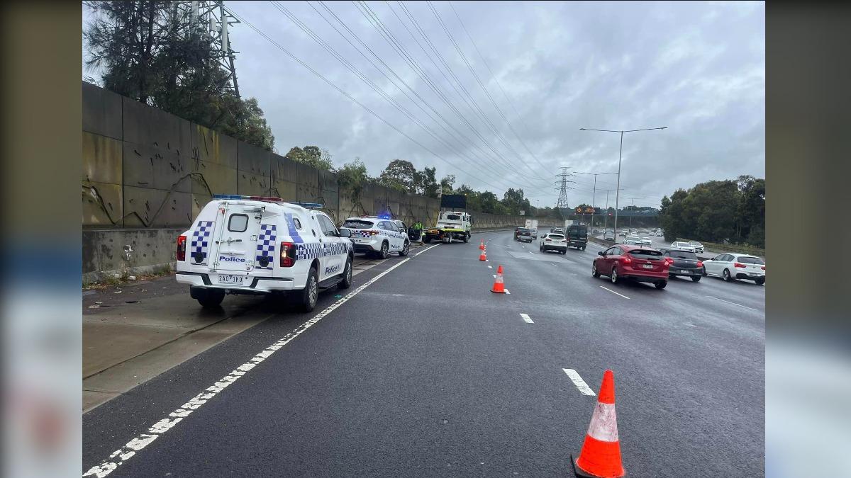 澳洲高速公路爆「毒蛇」驚魂。（圖／翻攝自 FB@Melbourne snake control）