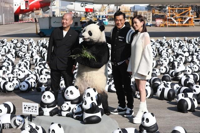 古天樂、佘詩曼與2500隻熊貓雕塑打卡。(圖/香港01提供)