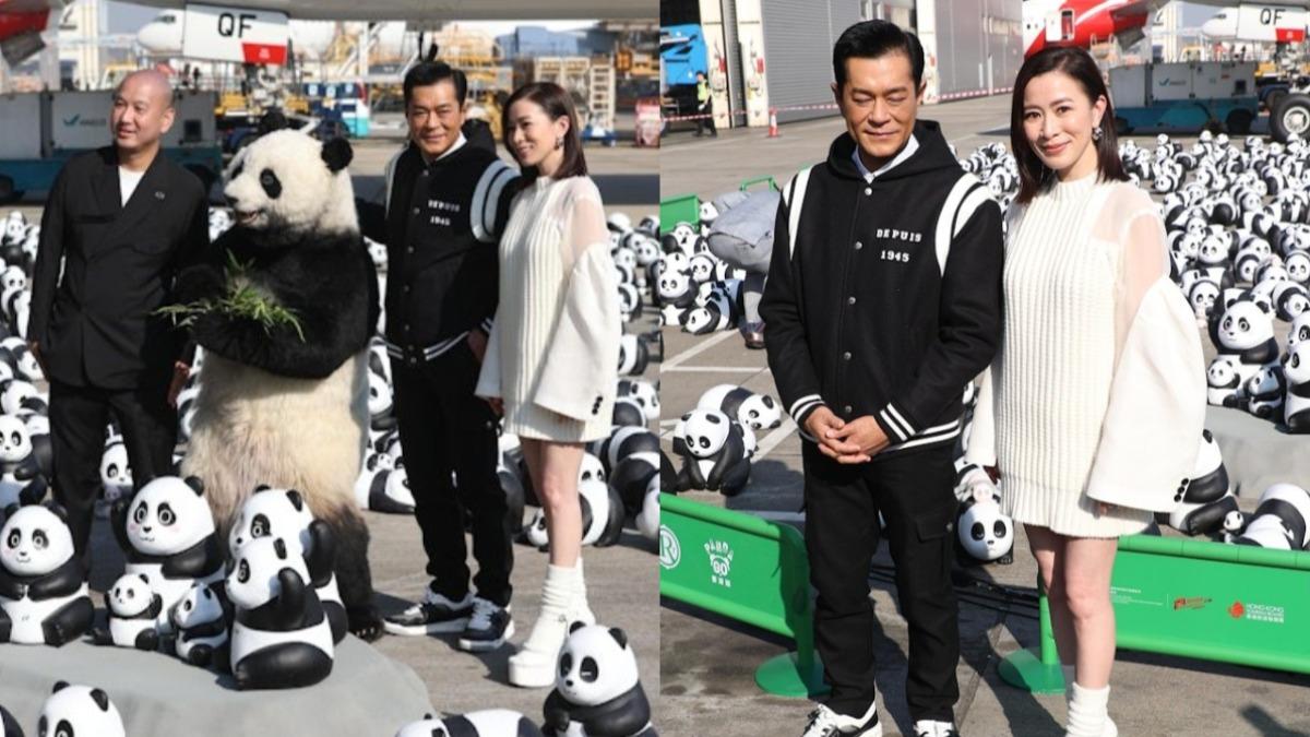 古天樂佘詩曼同框熊貓主題展 爆《新聞女王》電影版已開拍