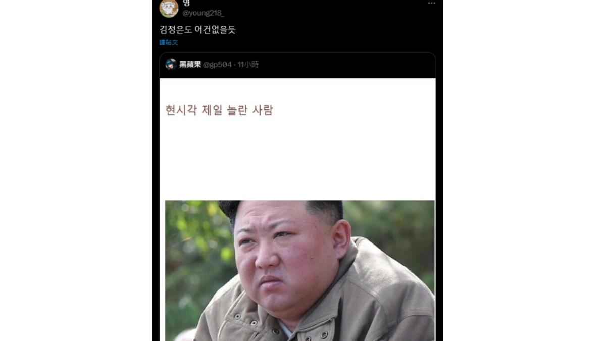 南韓網友指出，連金正恩也會覺得戒嚴令荒謬。（圖／翻攝自 X）