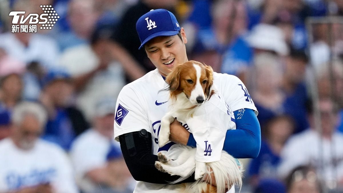 道奇簽下大谷翔平很超值!每年幫球隊賺21億 美媒:天使隊不智