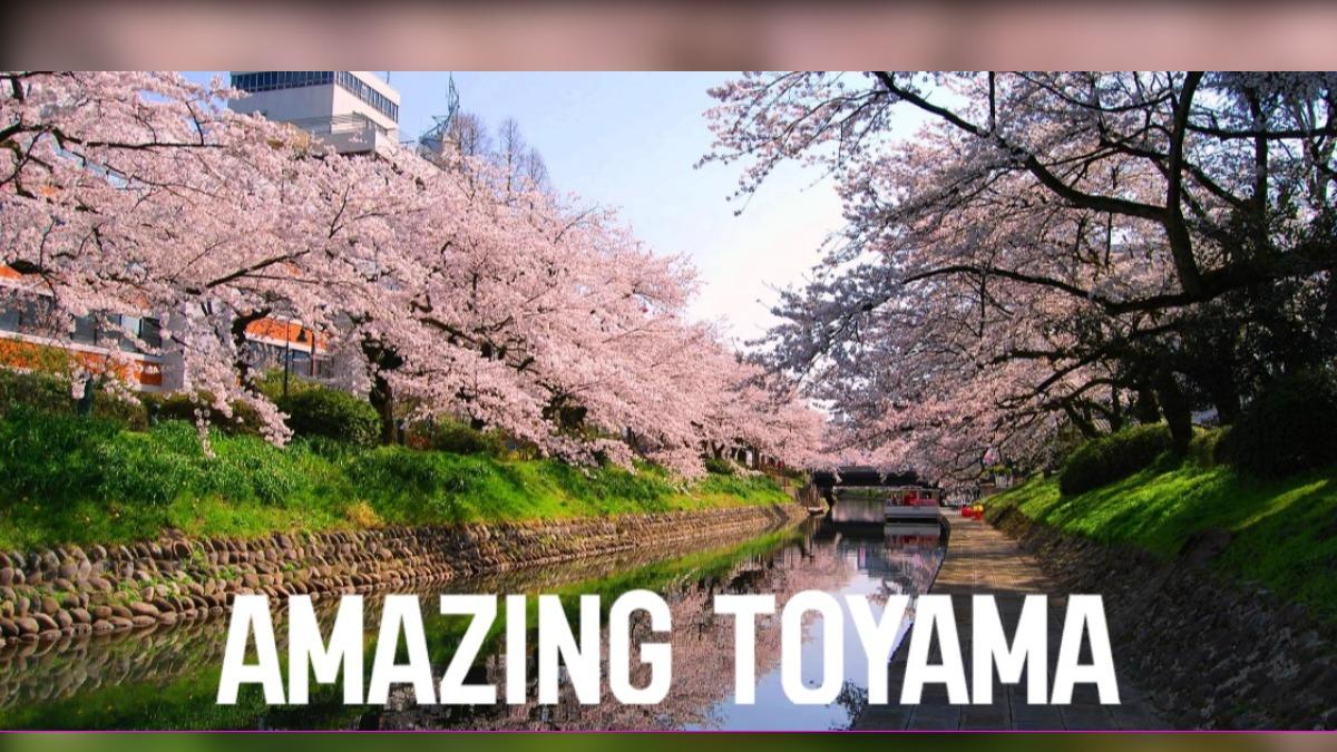 日本富山市超商超暖心行動 店員協助收容走失失智症老人