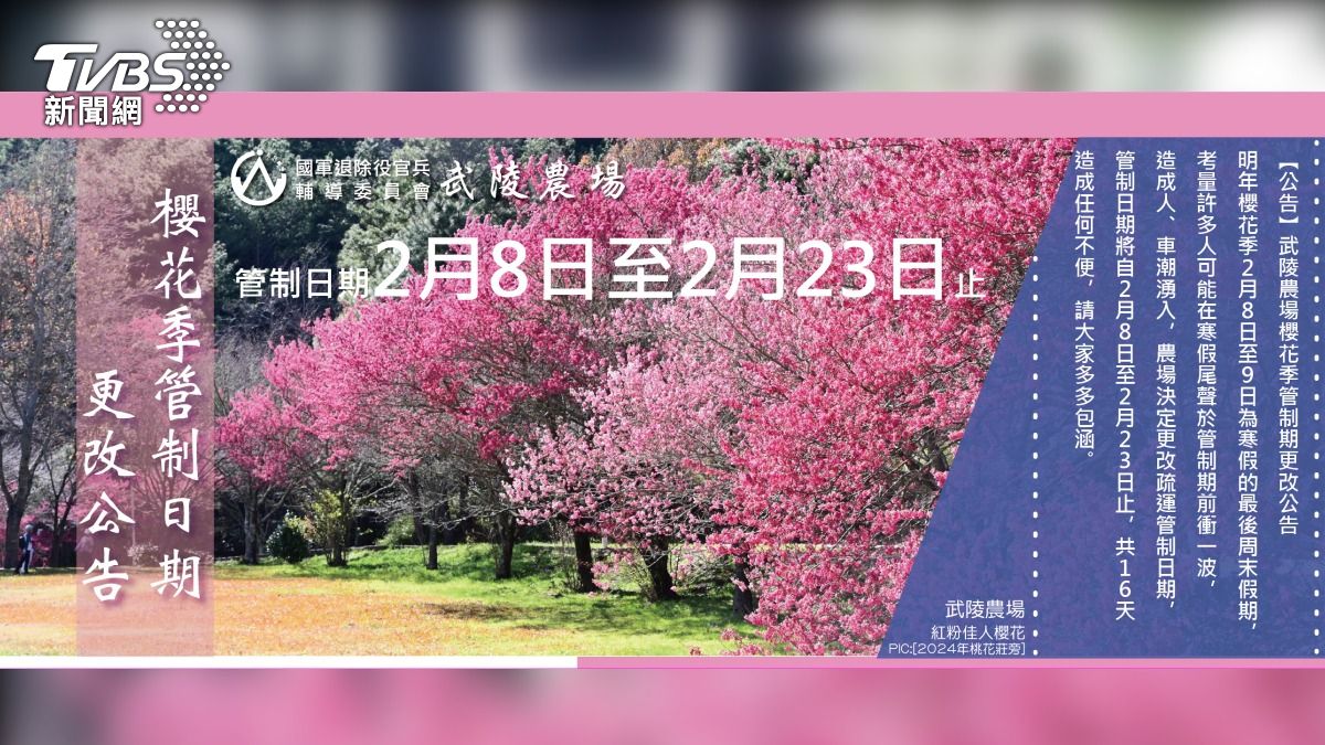 2025武陵櫻花季 交通管制2/8-2/23