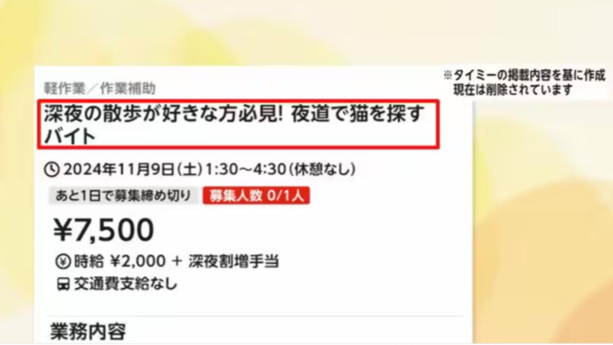 深夜找貓時薪400元！日本詭異打工惹議　專家揭恐怖目的