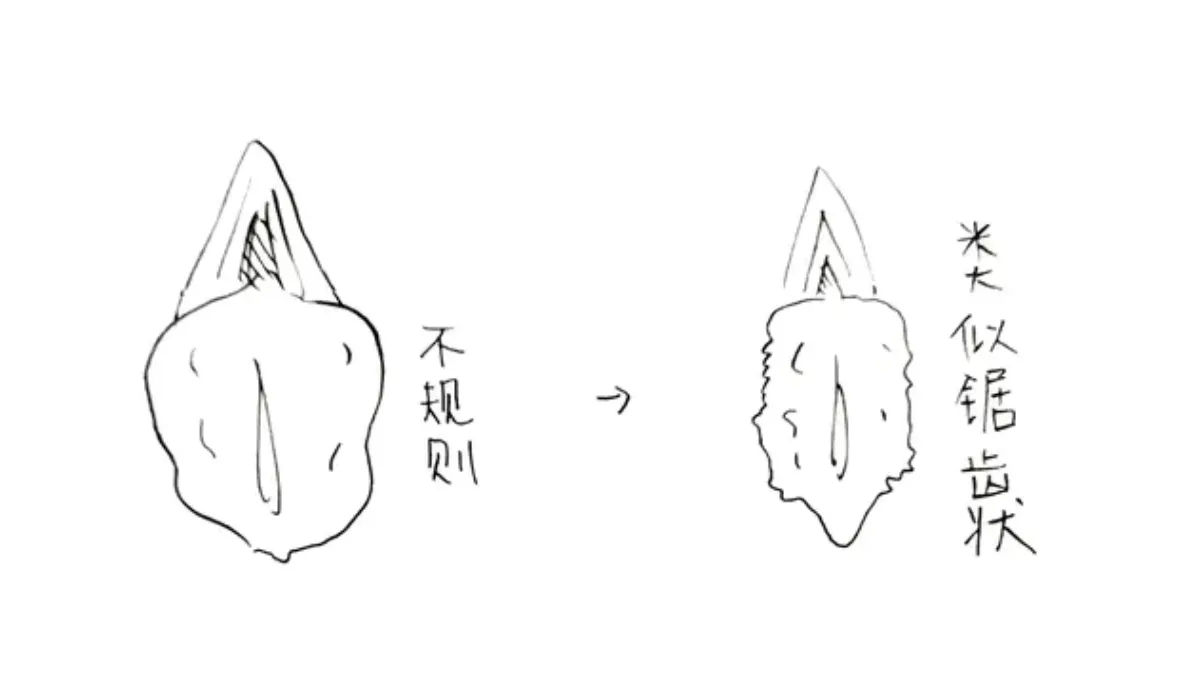女網友的下體被割成鋸齒狀。(圖/翻攝自Dcard)