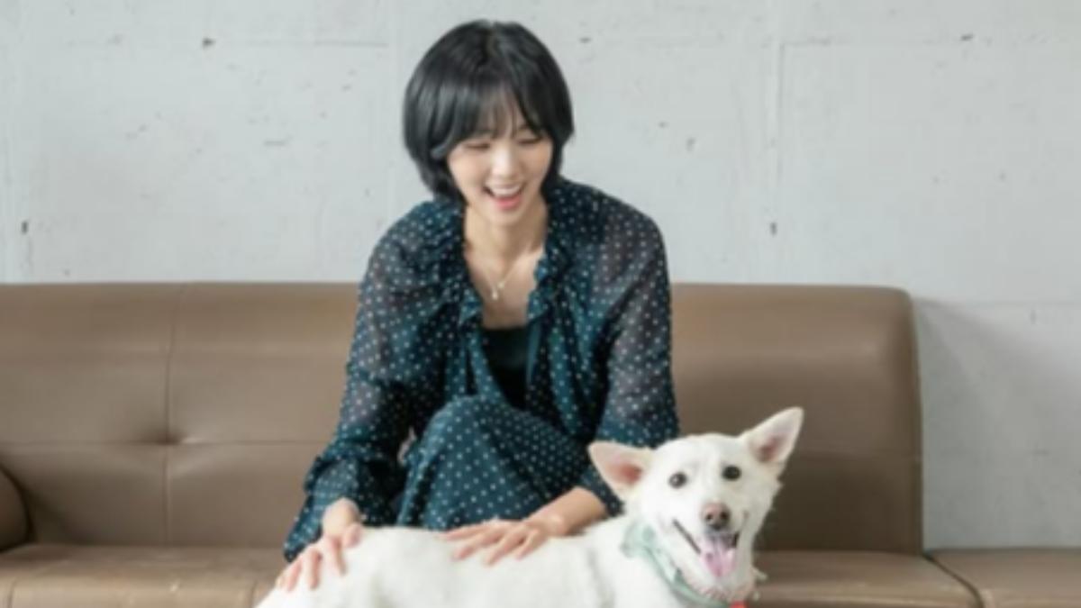 蔡秀彬個性圈粉,私下也喜歡小動物。(圖/取自IG)