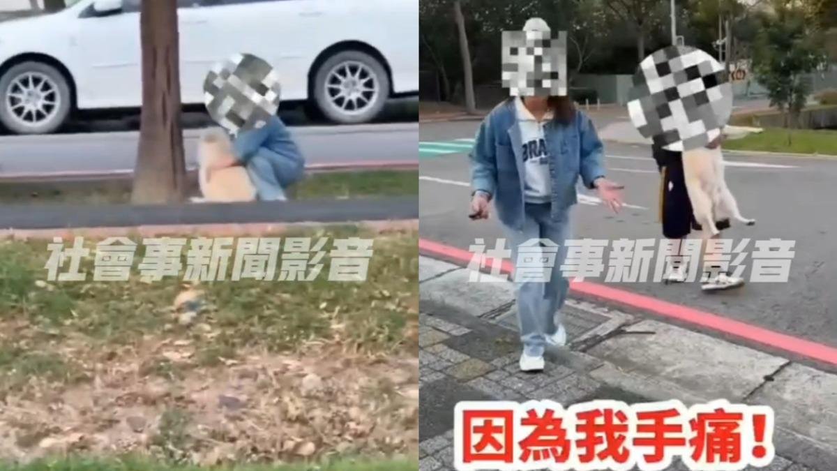 遛狗沒牽繩害他愛犬被咬傷 氣炸理論竟回「我手痛」