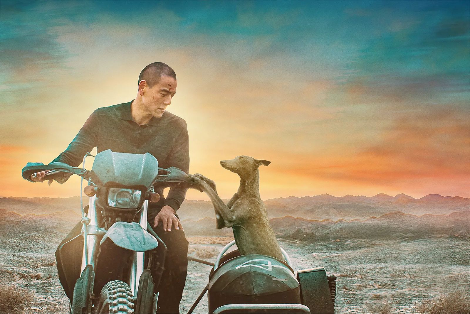 彭于晏主演的陸片《狗陣》原預計2025農曆春節上映,但目前文化部不認可該片聲稱的保送上映資格,上映希望渺茫。(圖/海鵬提供)