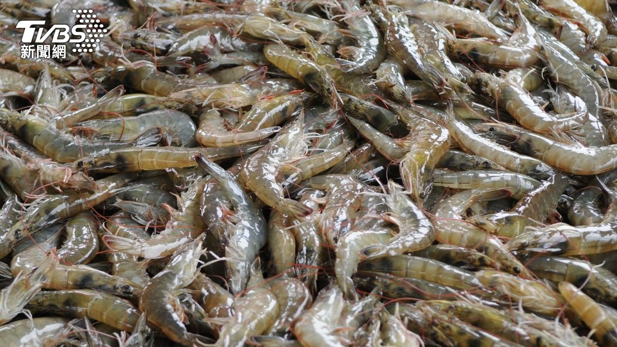 火鍋煮蝦「變黑」能吃嗎?專家教你挑鮮蝦 出現1狀況別再吃