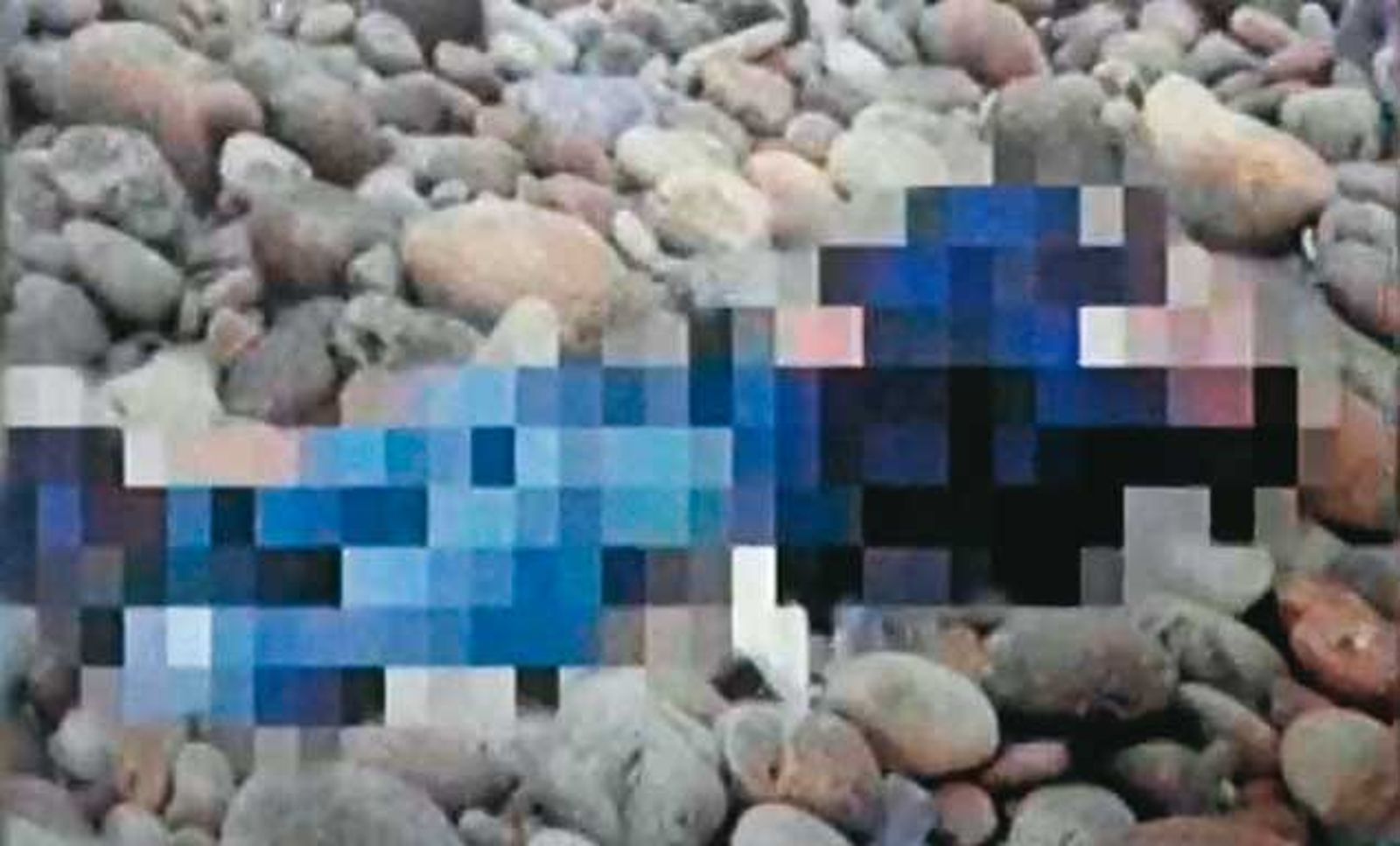 王男當年被發現陳屍於蘆竹海邊,轄區檢警起初認為是一起因釣魚不慎落海的意外事故。(圖/翻攝東森新聞)