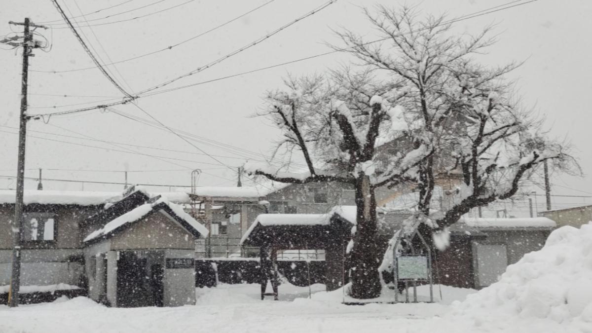 長野縣發布大雪警報，白馬村等地區出現積雪。（圖／翻攝自Ｘ＠ytnm_3121）