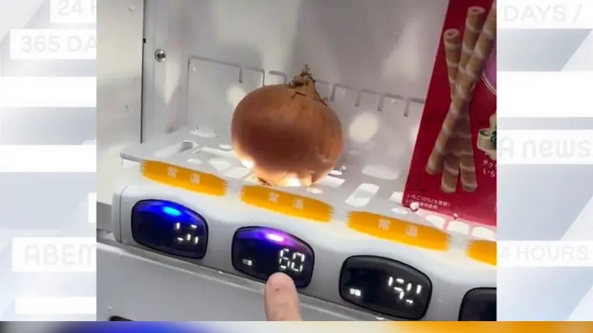 日本自販機無極限！投幣後滾出洋蔥　一顆13台幣好俗