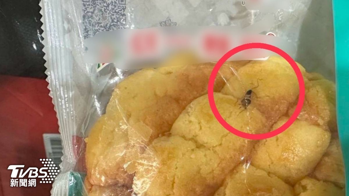 嘉義女超商買菠蘿麵包 袋內「活蟑螂爬呀爬」嚇壞蕊死牠