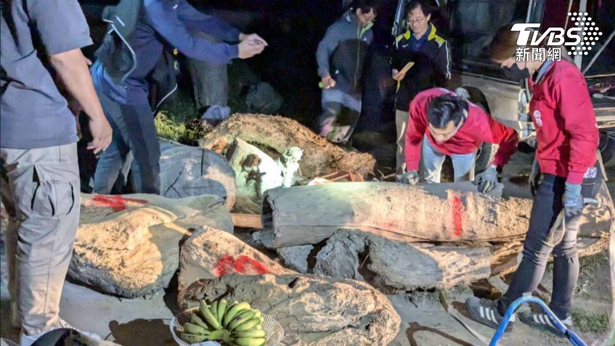 台東通緝犯持喪屍菸彈遭逮！家裡還藏市價6萬牛樟、紅檜