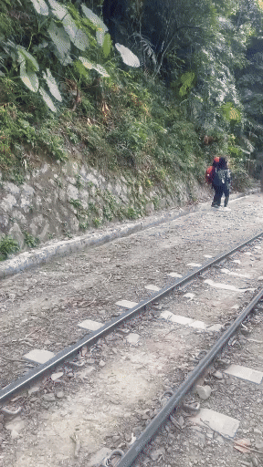婦人拍照無視列車鳴笛,從後方遭到擦撞倒地。(圖/翻攝自臉書「翻轉大高屏交通違規」)