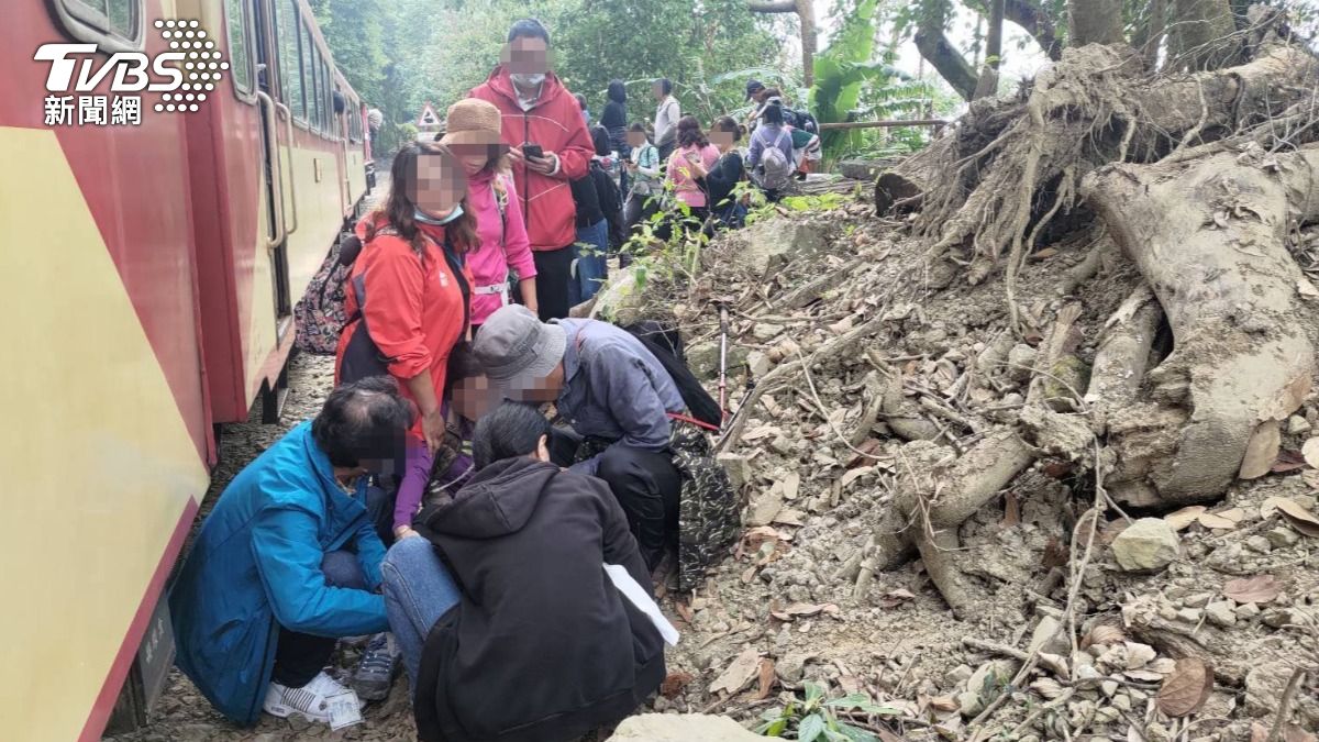 臉書「被灌爆」!帶團遊客闖阿里山鐵軌遭撞 旅行社道歉了
