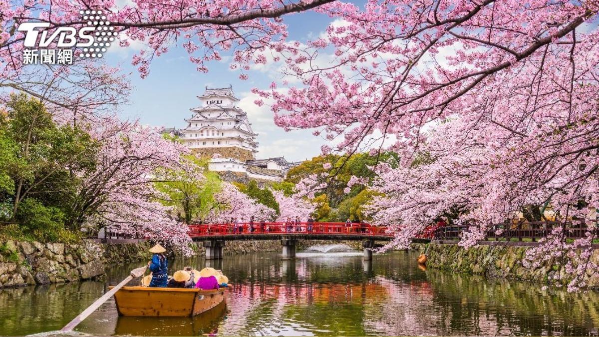 人生必去一次!網激推世界「10大花季」 日本櫻花果然奪冠