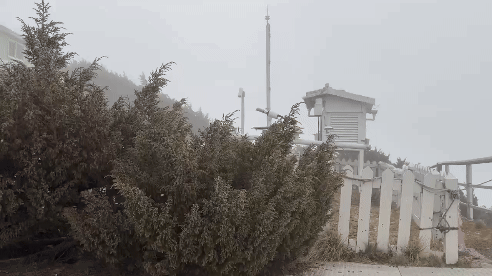 玉山也下雪。（圖／氣象署提供）