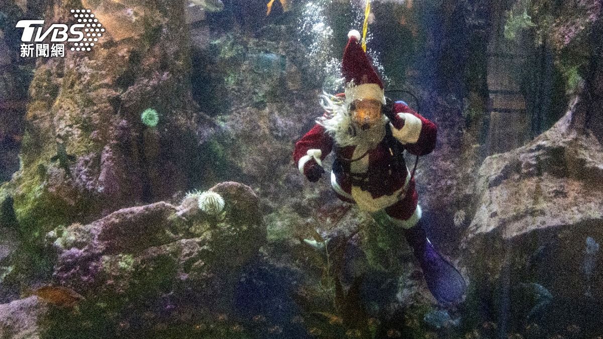 全球耶誕老人大軍做公益!水族館「潛水耶老」
