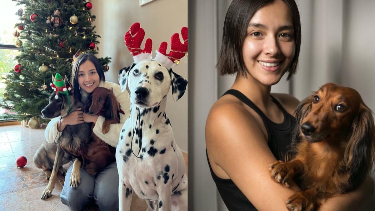 前港姐2愛犬散步慘遭毒死!崩潰發文怒斥:對人類失去信任