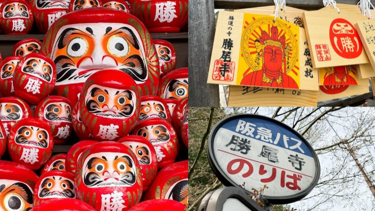 整座山都是不倒翁!大阪隱藏版景點 必抽「達摩籤」祈福、試手氣