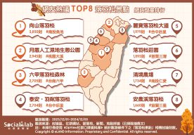 網友熱議TOP8落羽松景點。(圖/社群實驗室)