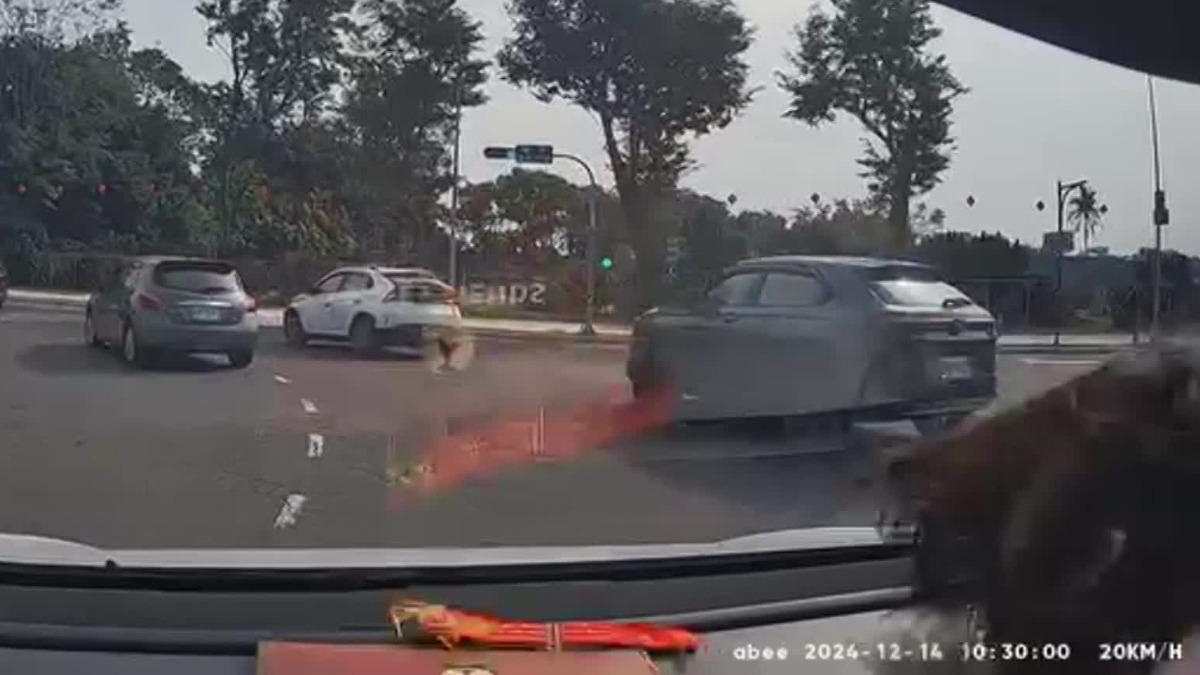 圖/翻攝自 特斯拉台灣車主群