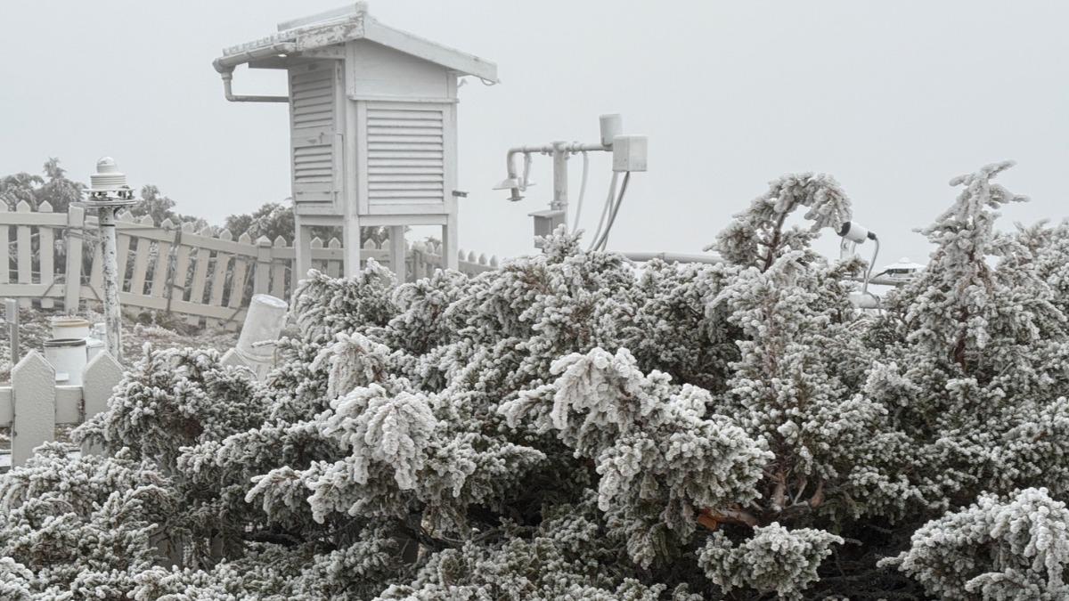 天氣／強冷空氣升級「下探6度」時間曝　專家：玉山有望降雪