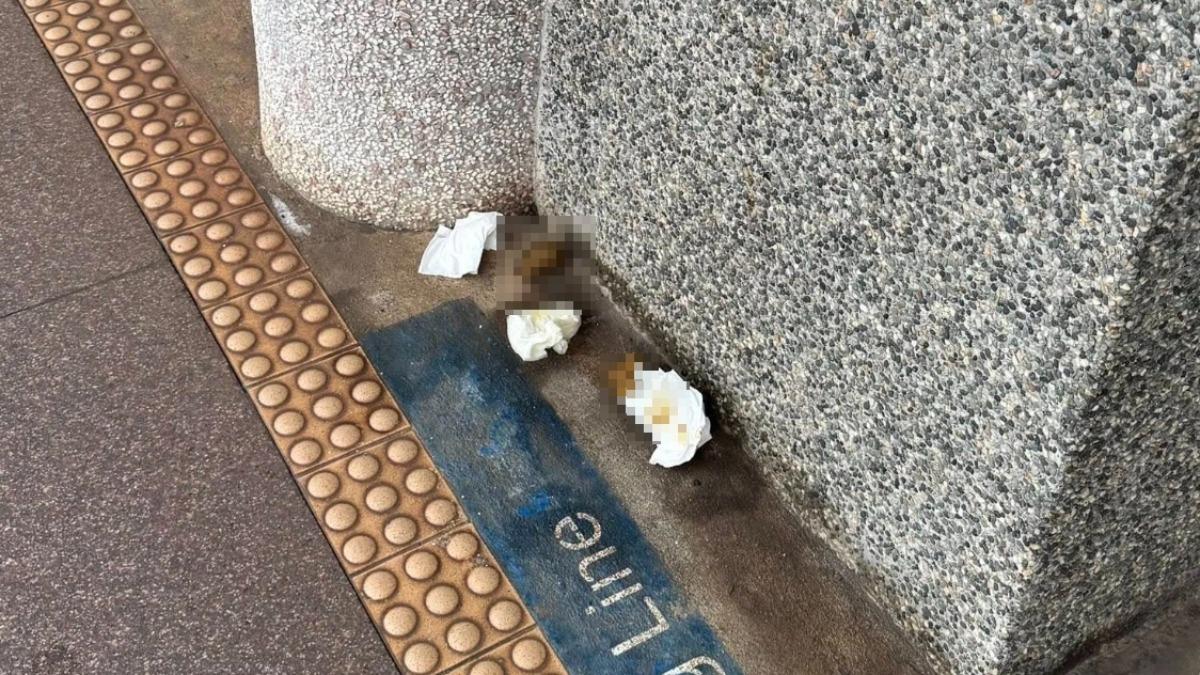宜蘭站月台出現「超大坨糞便」　台鐵：女乘客拉完搭車離開