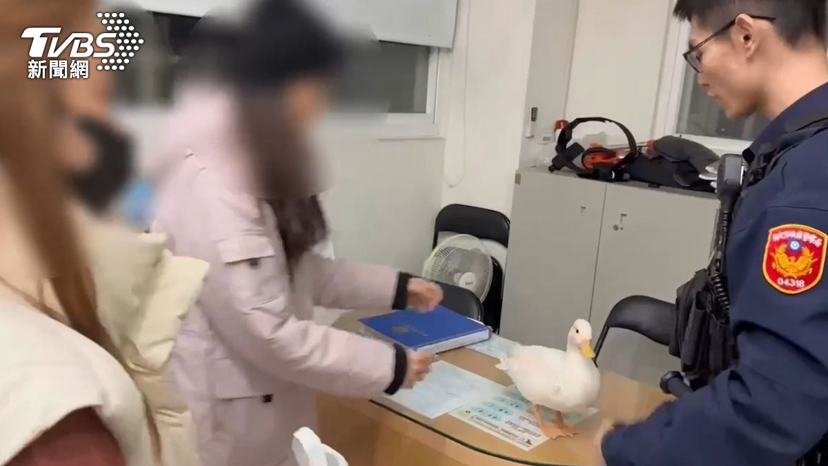 飼主到派出所領回寵物鴨。（圖／TVBS）