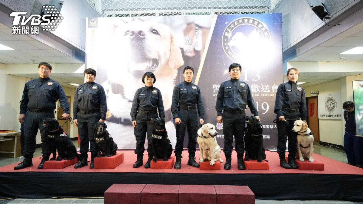 新北市警察局為6隻警犬舉辦退休儀式。(圖/TVBS)