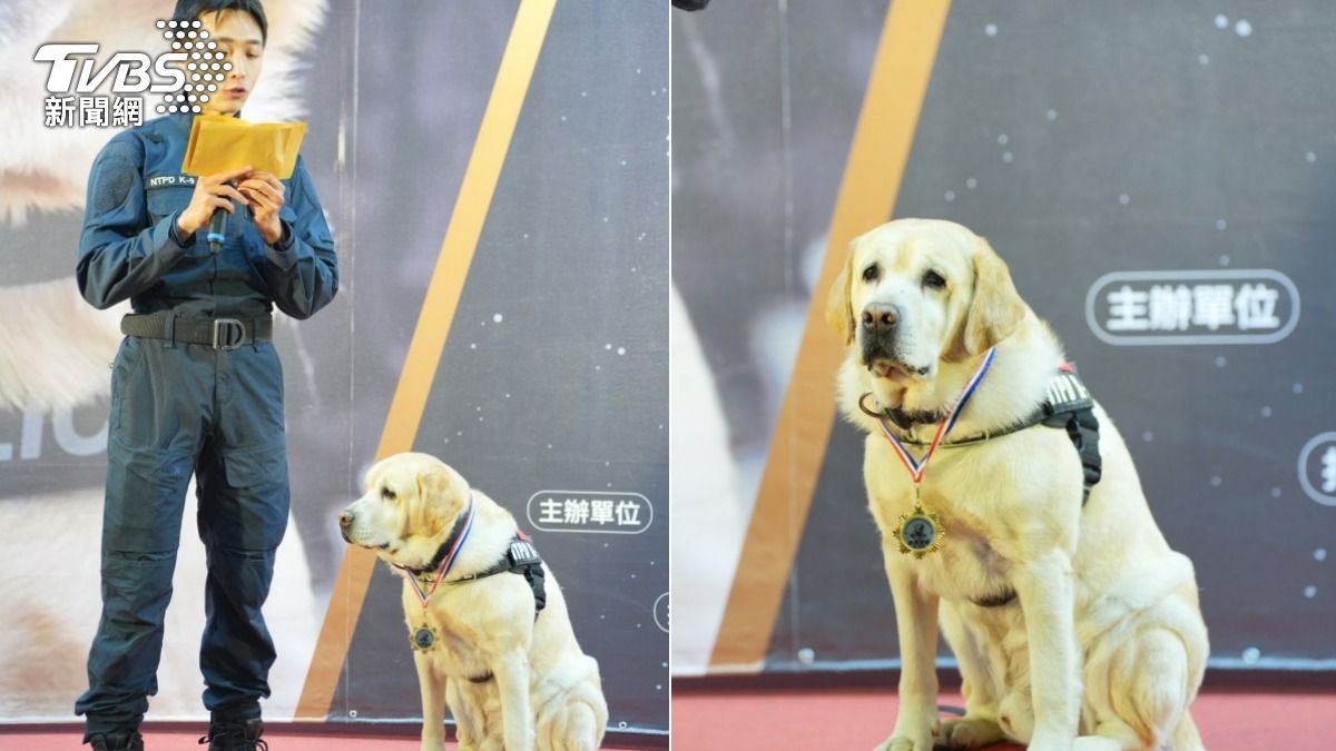 最萌畢業典禮!新北6警犬光榮退役 福星領獎「一臉嚴肅」