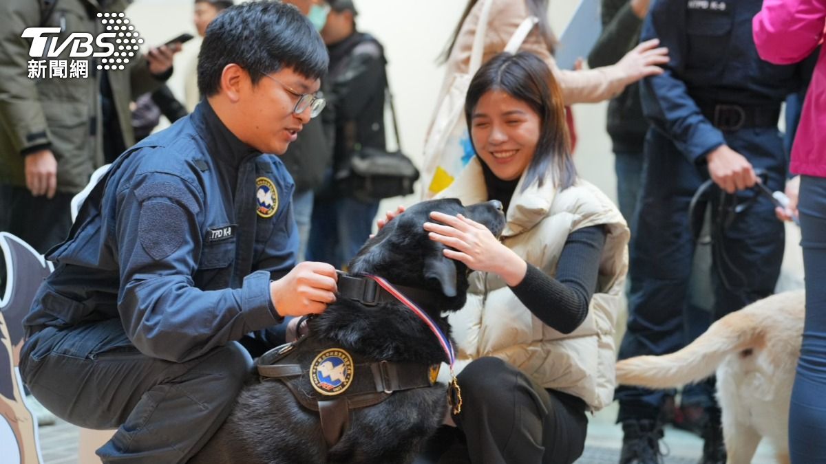 警犬人氣相當高。(圖/TVBS)