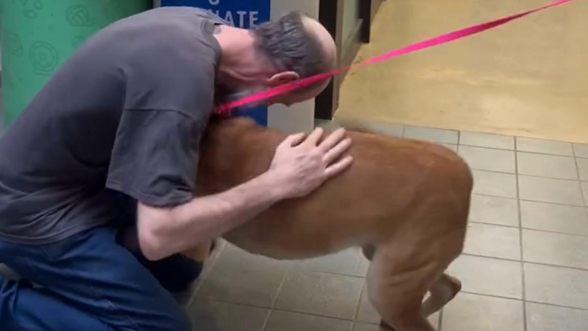 忍痛送養愛犬!罹癌男奇蹟痊癒 人犬等2年重逢網淚崩