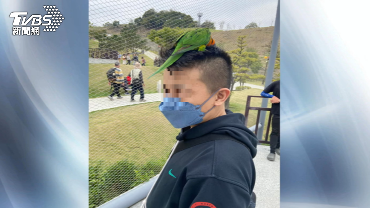 圖/TVBS
