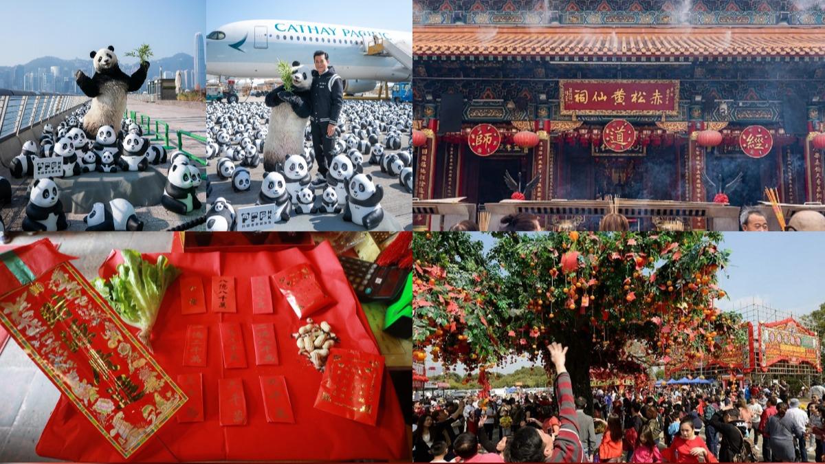 香港新年必打卡！2500隻熊貓超吸睛　轉運求財求姻緣景點一次看