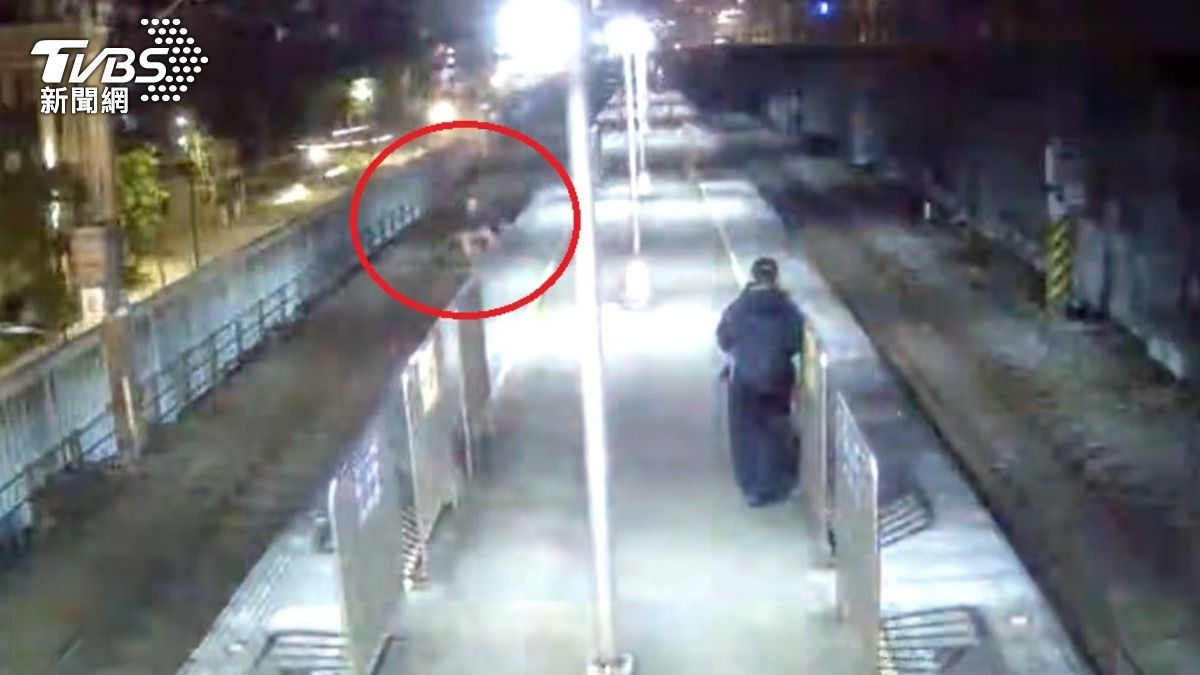 列車駛來人不見！台鐵落軌畫面曝　消失旅客「隔日現聲」致電警