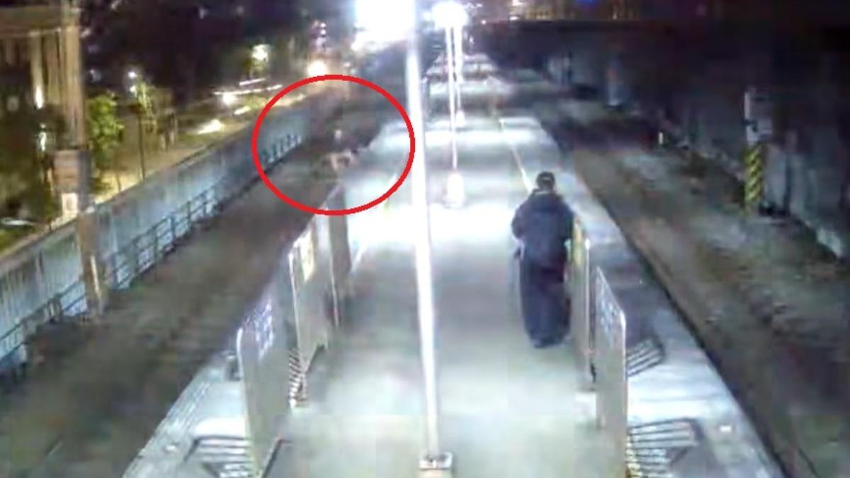 害列車誤點3200分鐘!臥軌男奇蹟生還 台鐵要求償了