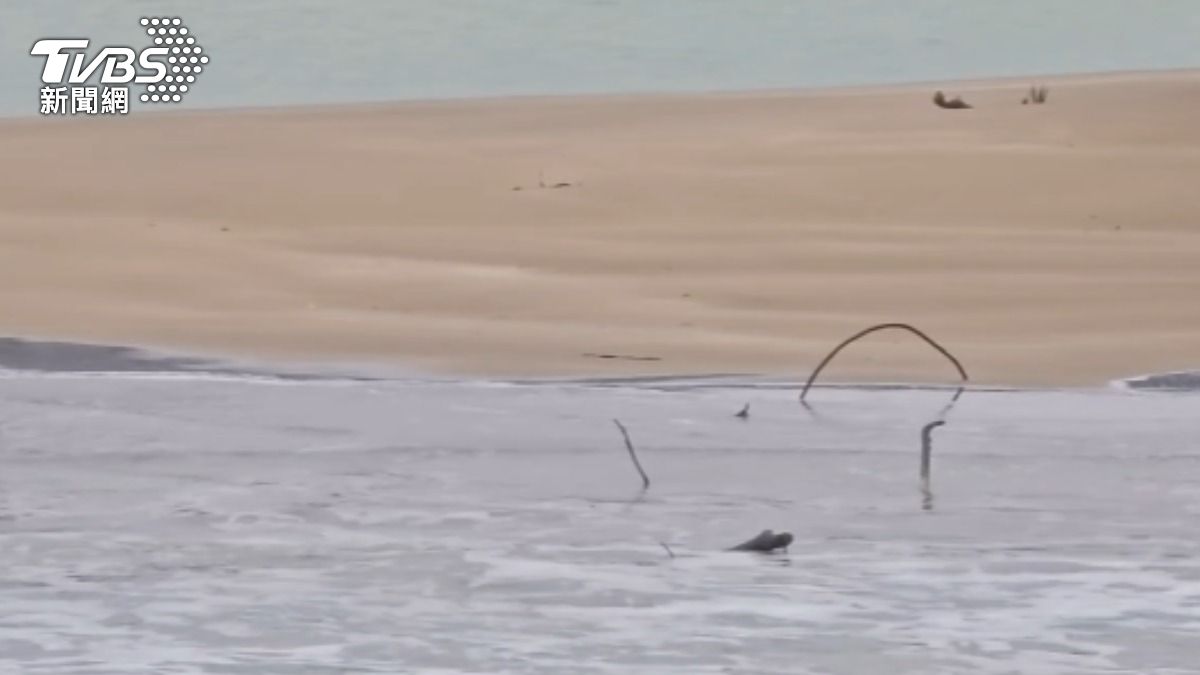 颱風天累積泥沙遇東北風吹進航道,導致淤沙。(圖/TVBS)