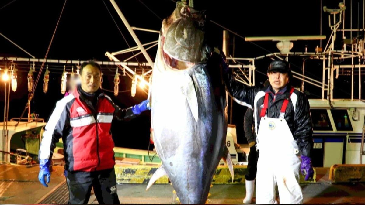 昔捕獲3.3億天價黑鮪魚 「青森最強漁夫」遇海難下落不明