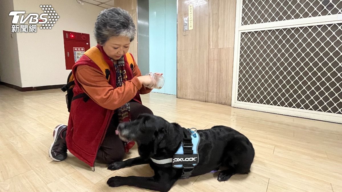 CANDY將隨新主人到苗栗生活。(圖/陳祁攝)