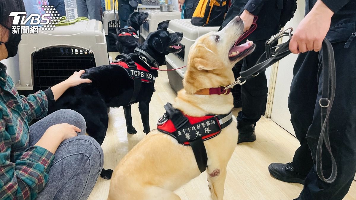 領犬員和警犬之間的情誼相當令人動容。(圖/陳祁攝)