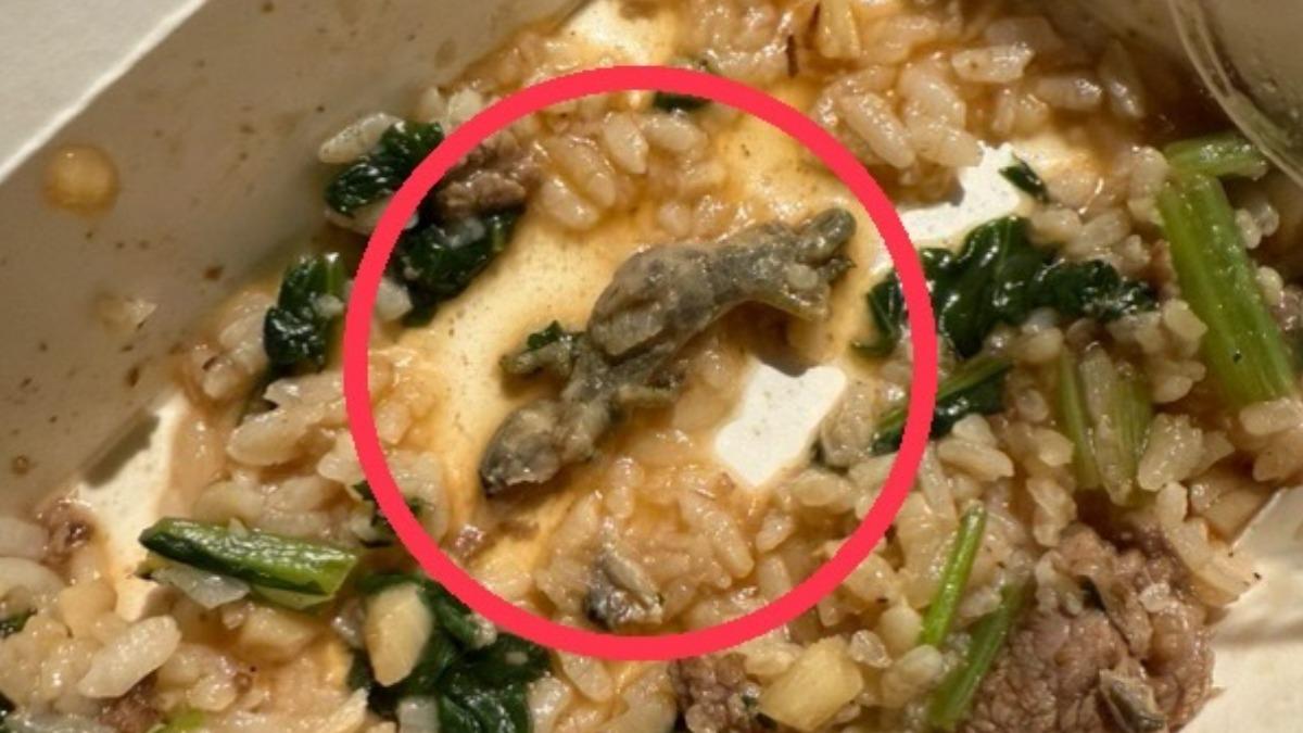 嚼起來QQ的?羊肉燴飯「整條壁虎」入菜 他一咬爆頭噁崩潰