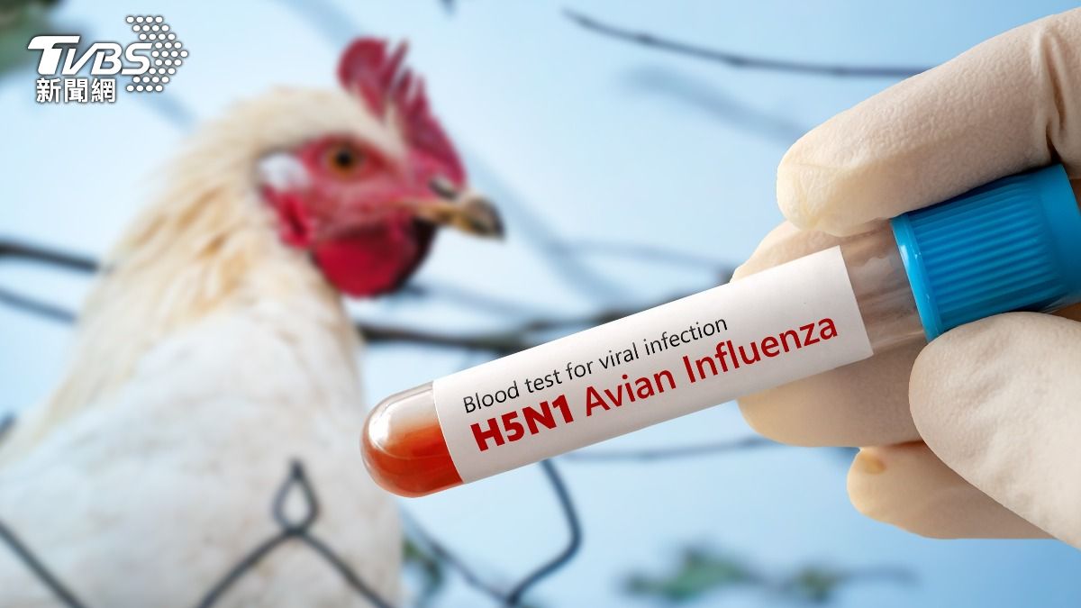 美通報首例「人類禽流感」重症患者!出現基因突變 CDC揭風險
