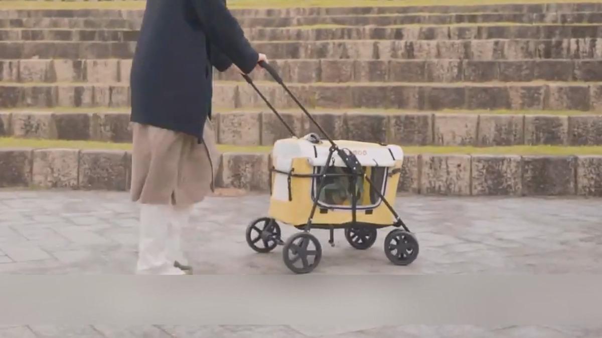 圖／翻攝自　當事業者 YT