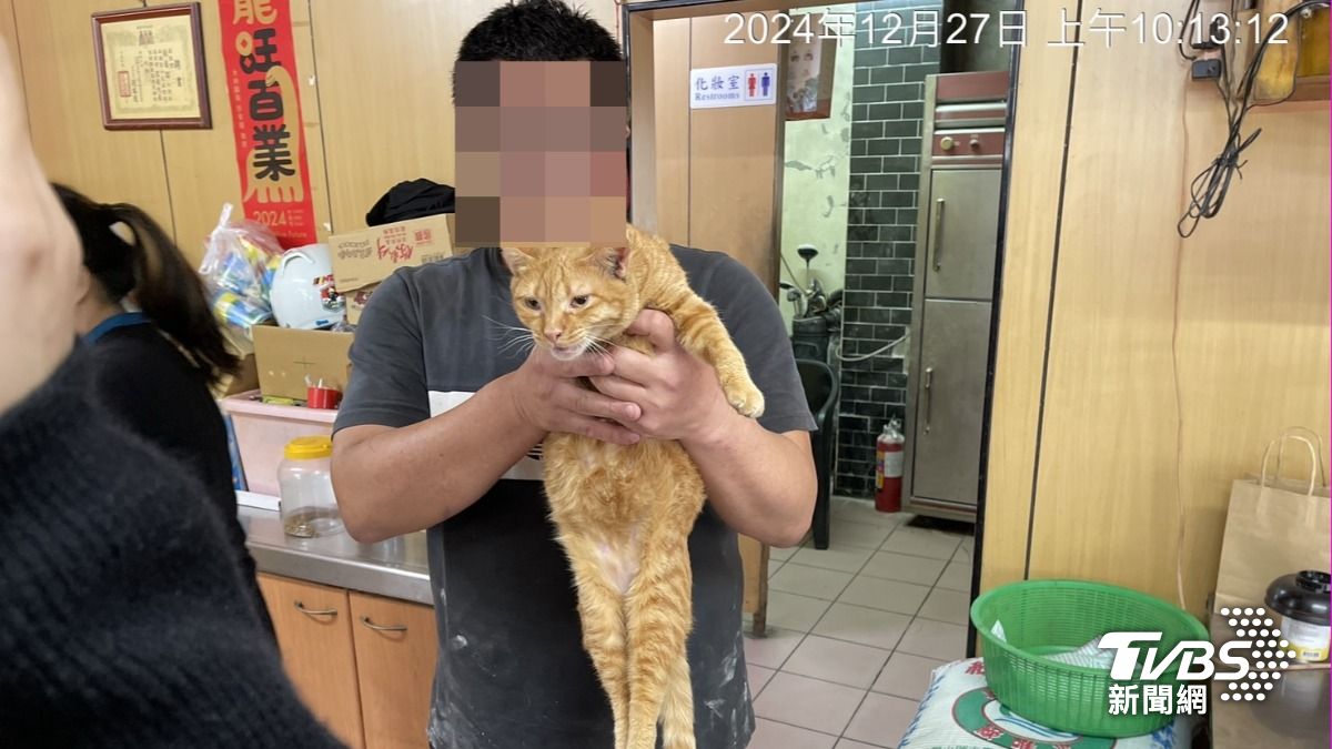 為救病弱喵星人　嘉畜所隊員遭飼主恐嚇「拿刀砍死你」下場曝