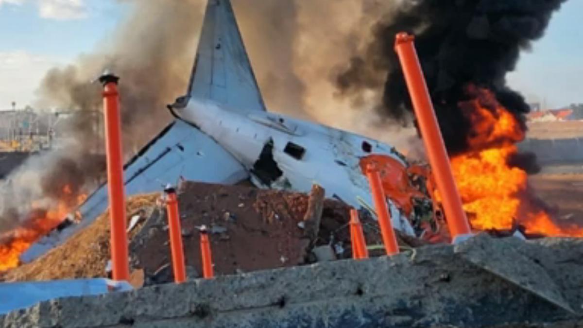 有鳥卡機翼!濟州航空乘客訊息曝光 驚恐喊:我要講遺言嗎